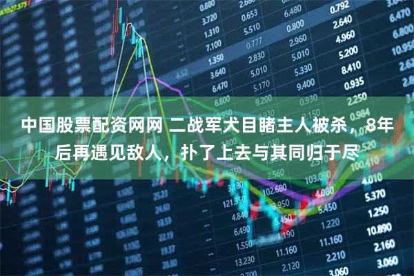 中国股票配资网网 二战军犬目睹主人被杀，8年后再遇见敌人，扑了上去与其同归于尽